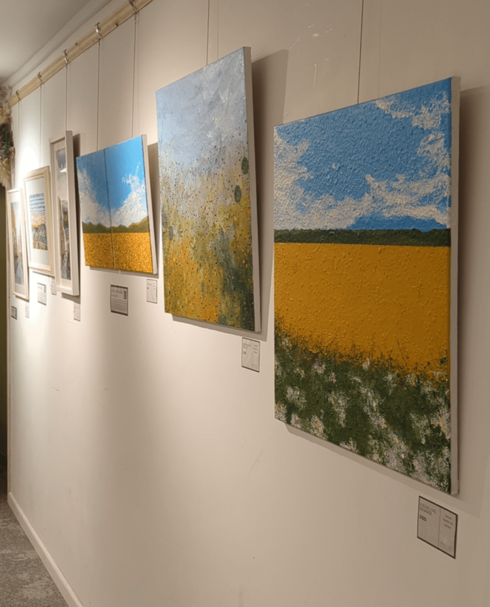 Fields like Summer - Image 5